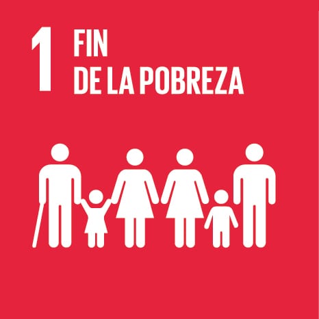 sdg1