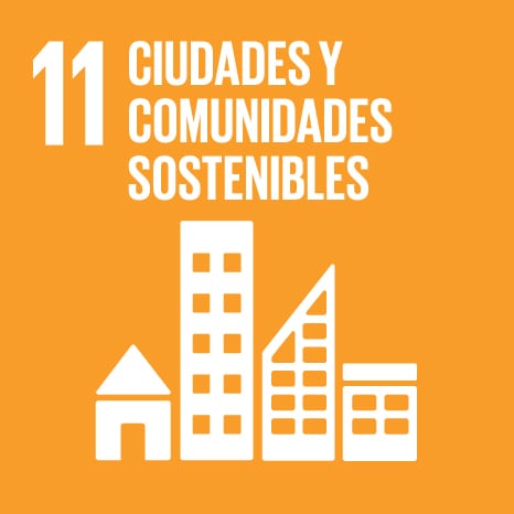 sdg11