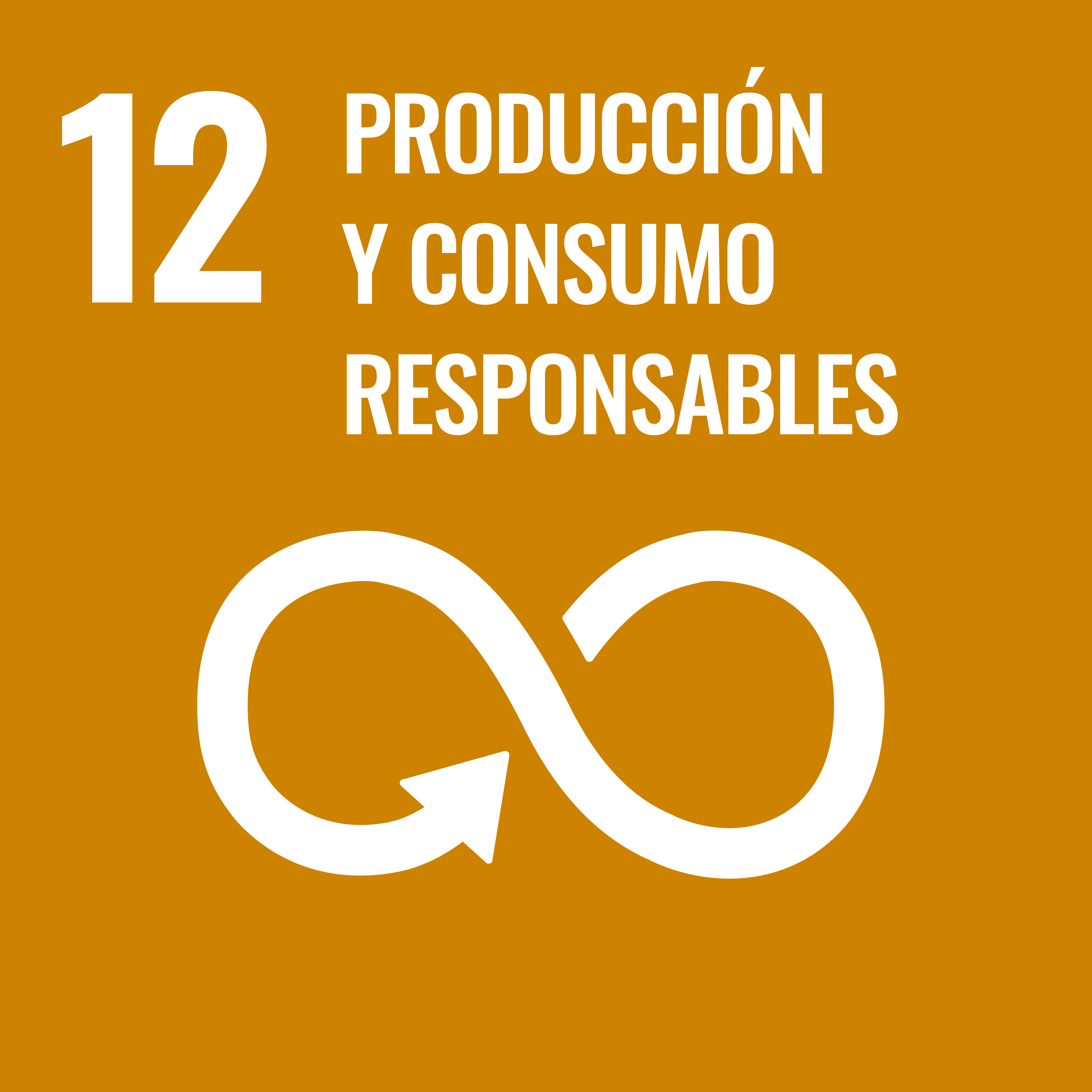 sdg12