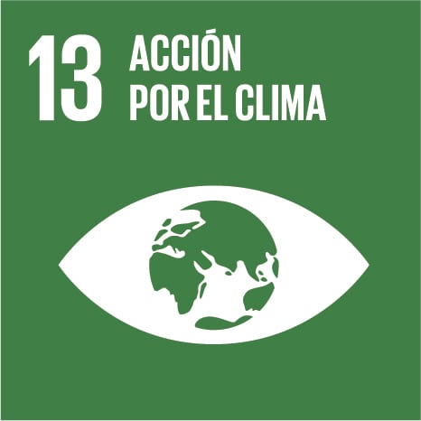 sdg13