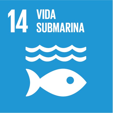 sdg14