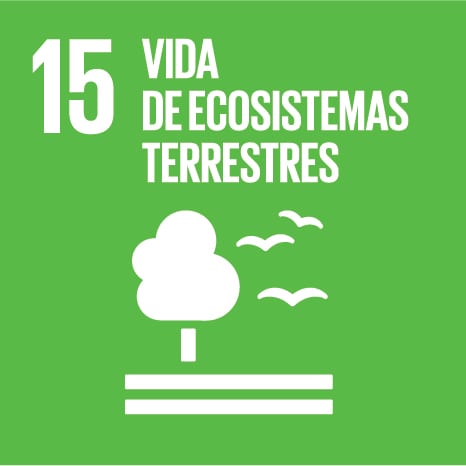 sdg15