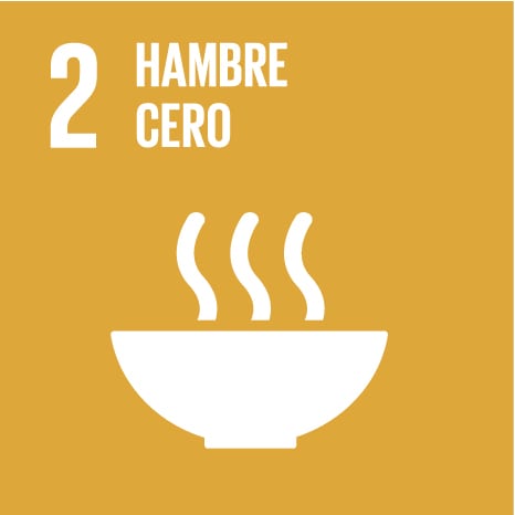 sdg2