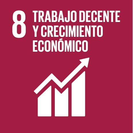 sdg8